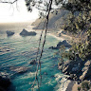 Meet your Posher, Simon